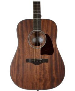 Ibanez Artwood AW54 Acoustic Guitar (Open Pore Natural)