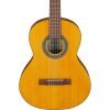 Ibanez GA2 3/4 Nylon String Acoustic Guitar (Natural)
