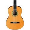 Ibanez GA3 Nylon String Acoustic Guitar, Natural