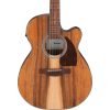 Ibanez PC50WSCE Acoustic-Electric Guitar, Open-pore Natural