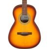 Ibanez PN50 Parlor Acoustic Guitar, Brown Sunburst